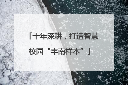 十年深耕，打造智慧校园“丰南样本”