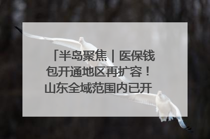 半岛聚焦｜医保钱包开通地区再扩容！山东全域范围内已开通，有何用处？如何操作？速戳→