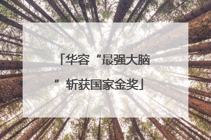 华容“最强大脑”斩获国家金奖