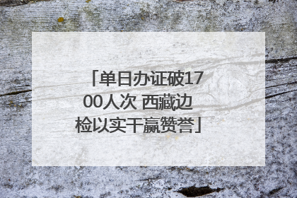 单日办证破1700人次 西藏边检以实干赢赞誉