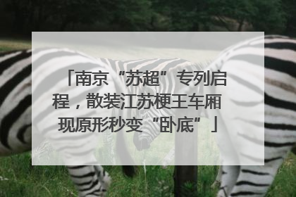 南京“苏超”专列启程，散装江苏梗王车厢现原形秒变“卧底”