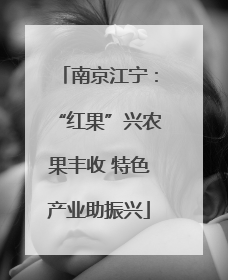 南京江宁：“红果”兴农果丰收 特色产业助振兴