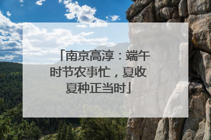南京高淳：端午时节农事忙，夏收夏种正当时