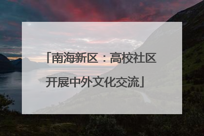 南海新区：高校社区开展中外文化交流
