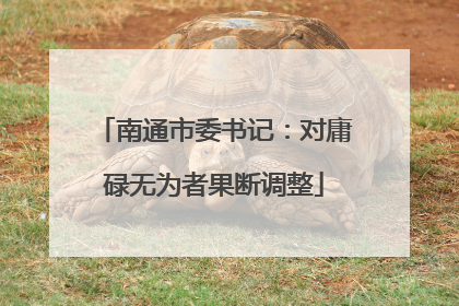 南通市委书记：对庸碌无为者果断调整