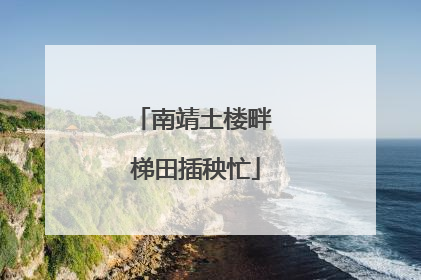 南靖土楼畔 梯田插秧忙