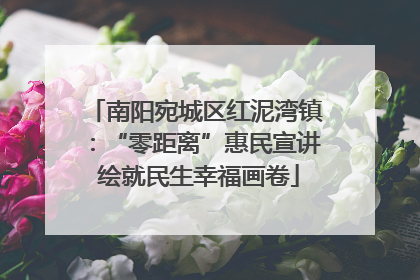 南阳宛城区红泥湾镇：“零距离”惠民宣讲 绘就民生幸福画卷