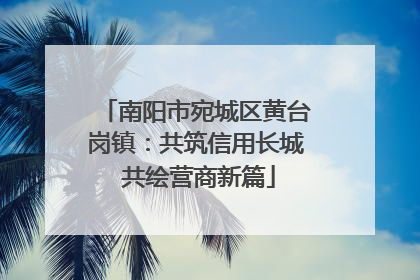 南阳市宛城区黄台岗镇：共筑信用长城 共绘营商新篇