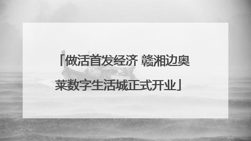 做活首发经济 赣湘边奥莱数字生活城正式开业