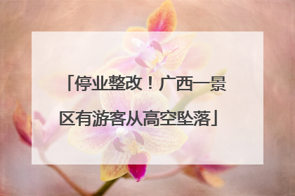 停业整改！广西一景区有游客从高空坠落