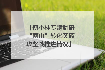傅小林专题调研“两山”转化突破攻坚战推进情况
