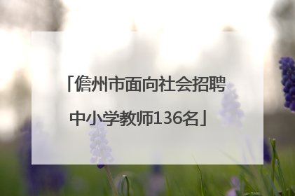 儋州市面向社会招聘中小学教师136名