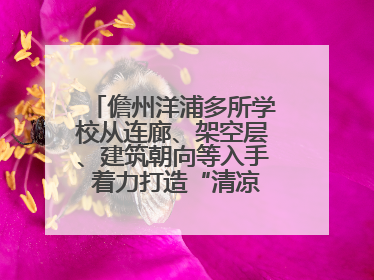 儋州洋浦多所学校从连廊、架空层、建筑朝向等入手 着力打造“清凉校园”