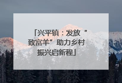 兴平镇：发放“致富羊”助力乡村振兴启新程