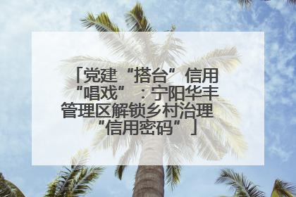 党建“搭台”信用“唱戏”：宁阳华丰管理区解锁乡村治理“信用密码”