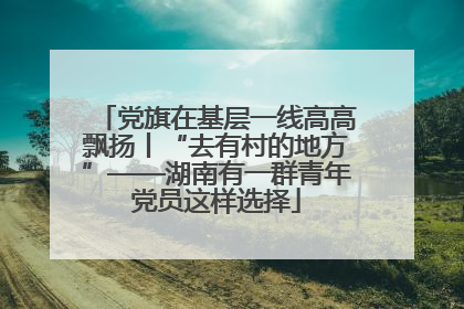 党旗在基层一线高高飘扬丨“去有村的地方”——湖南有一群青年党员这样选择
