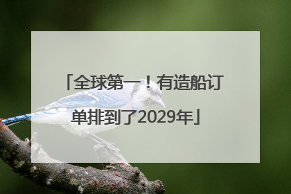 全球第一！有造船订单排到了2029年