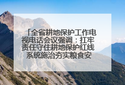 全省耕地保护工作电视电话会议强调：扛牢责任守住耕地保护红线 系统施治夯实粮食安全根基 王宁作出批示 王予波出席并讲话