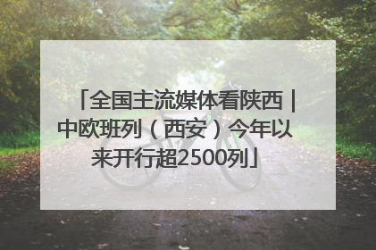 全国主流媒体看陕西｜中欧班列（西安）今年以来开行超2500列