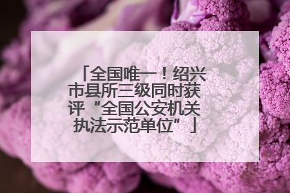 全国唯一！绍兴市县所三级同时获评“全国公安机关执法示范单位”