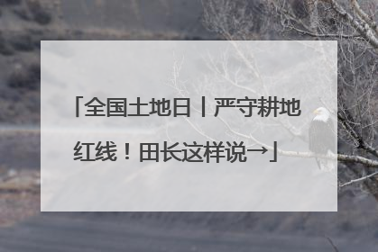 全国土地日丨严守耕地红线！田长这样说→