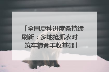 全国夏种进度条持续刷新：多地抢抓农时 筑牢粮食丰收基础