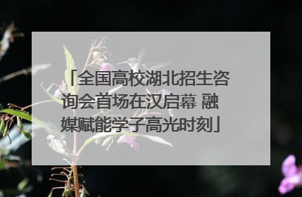 全国高校湖北招生咨询会首场在汉启幕 融媒赋能学子高光时刻