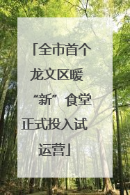 全市首个 龙文区暖“新”食堂正式投入试运营