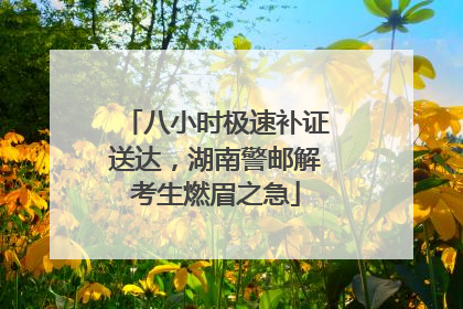 八小时极速补证送达，湖南警邮解考生燃眉之急