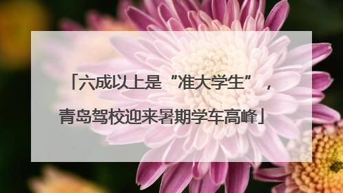 六成以上是“准大学生”，青岛驾校迎来暑期学车高峰