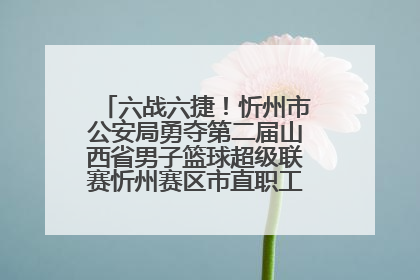 六战六捷！忻州市公安局勇夺第二届山西省男子篮球超级联赛忻州赛区市直职工组比赛冠军