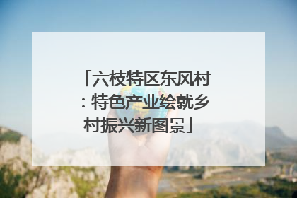 六枝特区东风村：特色产业绘就乡村振兴新图景