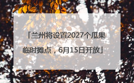 兰州将设置2027个瓜果临时摊点，6月15日开放