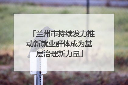 兰州市持续发力推动新就业群体成为基层治理新力量