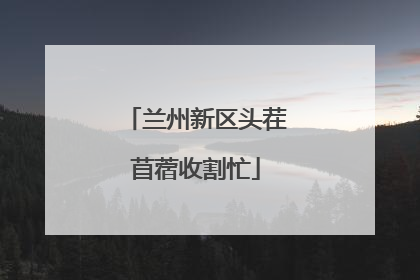 兰州新区头茬苜蓿收割忙