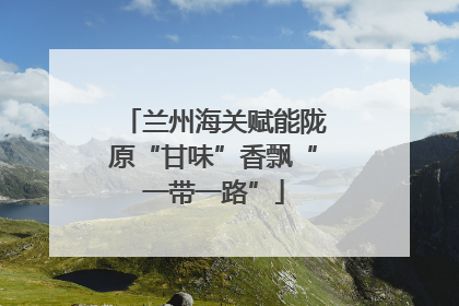 兰州海关赋能陇原“甘味”香飘“一带一路”