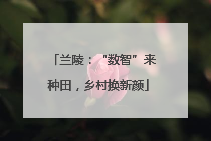 兰陵：“数智”来种田，乡村换新颜