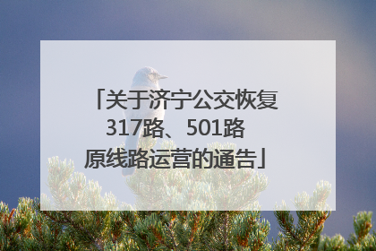 关于济宁公交恢复317路、501路原线路运营的通告