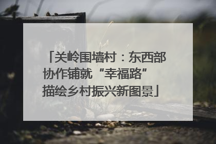 关岭围墙村：东西部协作铺就“幸福路” 描绘乡村振兴新图景