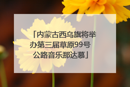 内蒙古西乌旗将举办第三届草原99号公路音乐那达慕