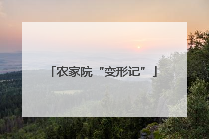农家院“变形记”