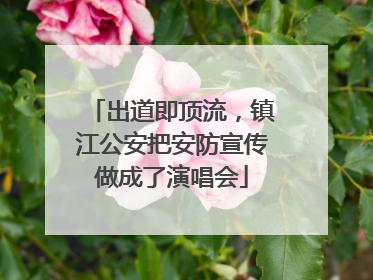 出道即顶流，镇江公安把安防宣传做成了演唱会