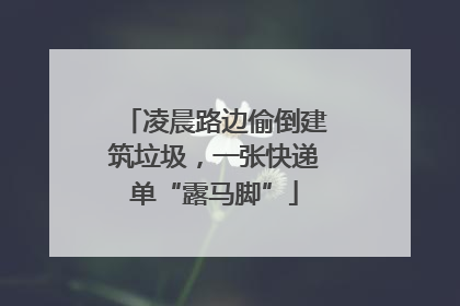 凌晨路边偷倒建筑垃圾，一张快递单“露马脚”