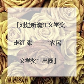 刘楚昕漓江文学奖走红 张一一“农民文学奖”出圈