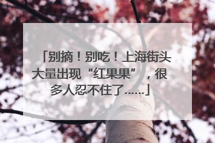 别摘！别吃！上海街头大量出现“红果果”，很多人忍不住了……