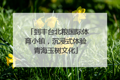 到丰台北粮国际体育小镇，沉浸式体验青海玉树文化
