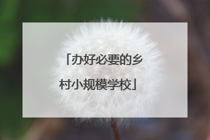 办好必要的乡村小规模学校
