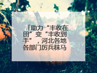 助力“丰收在田”变“丰收到手”，河北各地各部门厉兵秣马迎战“三夏”