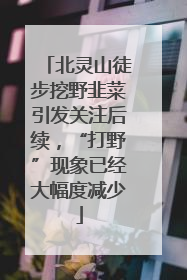 北灵山徒步挖野韭菜引发关注后续，“打野”现象已经大幅度减少