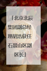北京北辰集团副总经理胡浩获任石景山区副区长